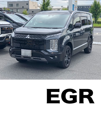 EGR バグガード［後期2型］ サムネイル2