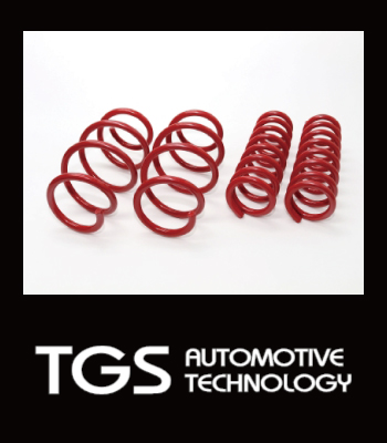 TGS アンチロールスプリングプラス1.2インチ［後期2型］