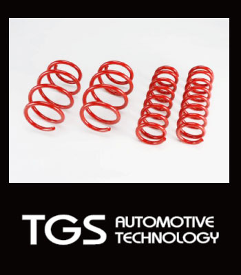 TGS アンチロールスプリング±０［後期2型］