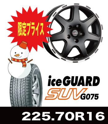 ティラードクロス＆iceGUARD/G075 225/70R16セット