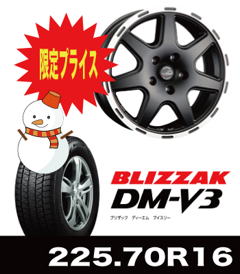 ティラードクロス&DM-V3 225/70R16セット ティラードクロス&DM-V3 225/70R16セット