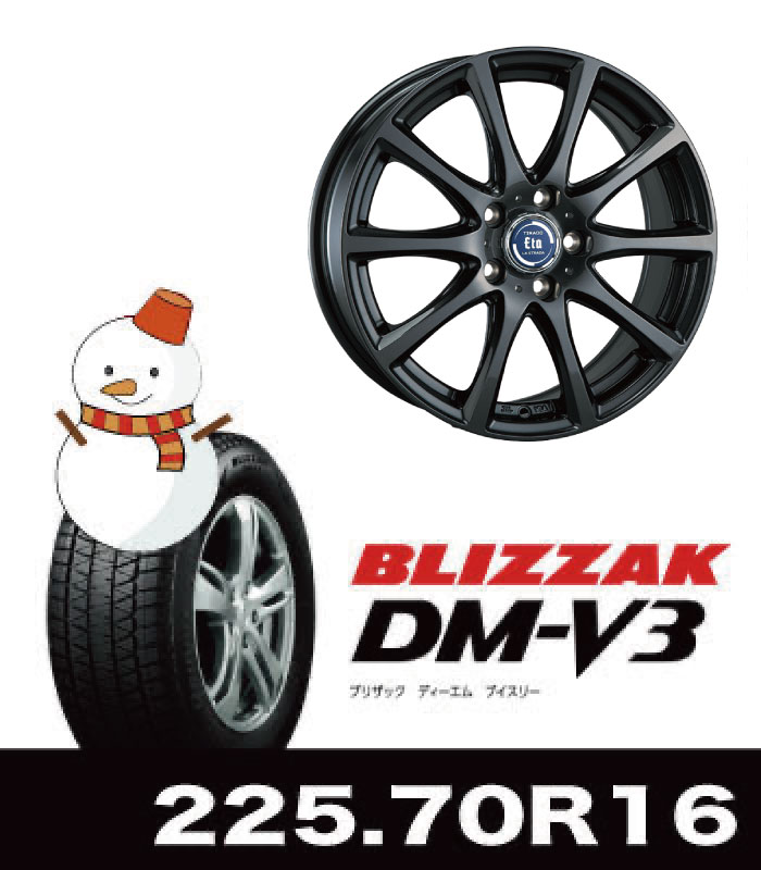 ST+AW ノーマル用ティラードイータ&DM-V3 225/70R16セット ST+AW ノーマル用ティラードイータ&DM-V3 225/70R16セット